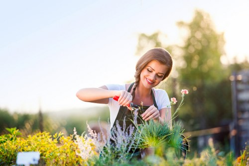 Client raising a gardening service concern