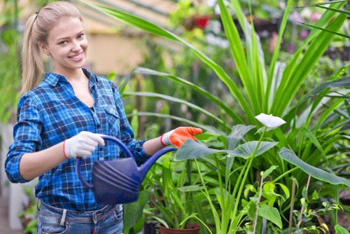 Professional patio cleaning for a residential outdoor space in Herne Hill