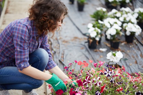 Garden maintenance in Herne Hill with tidy lawn and borders