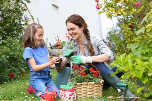 Autumn and winter garden maintenance in Herne Hill