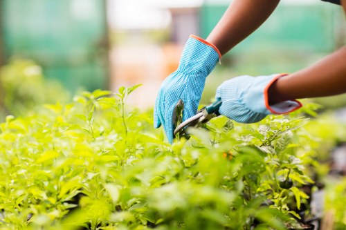 Cookie categories for Gardeners Herne Hill website