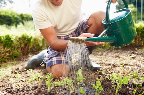 Herne Hill garden maintenance with tidy lawn and shrubs