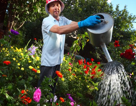 Professional grass cutting in a Herne Hill property
