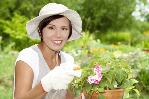 Seasonal border planting and garden maintenance in Herne Hill