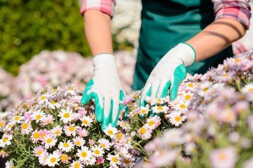 Continuous improvement in ethical garden services