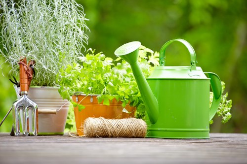 Garden maintenance and mowing service in Herne Hill