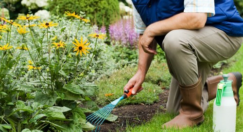 Professional garden waste removal and tidy-up in Herne Hill
