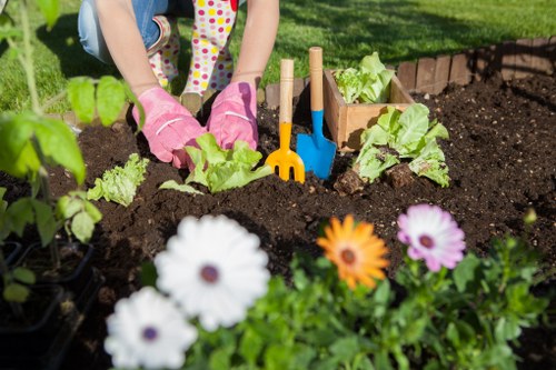 Year-round planting design for a modern Herne Hill outdoor space