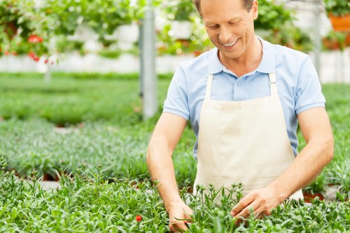 Healthy garden hedge maintenance in Herne Hill
