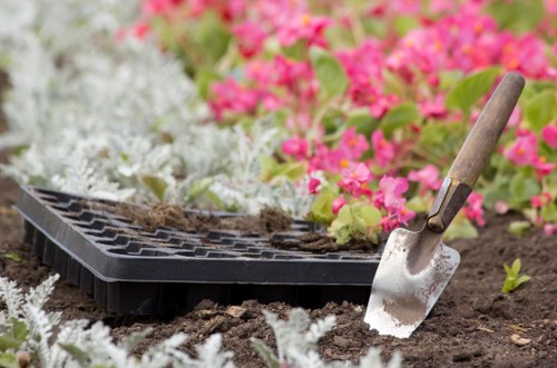 Professional Gardeners Herne Hill prioritising safety and protection