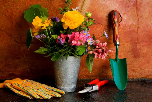 Safe work procedures for a professional garden service