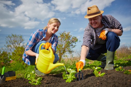 Professional garden maintenance tasks in Herne Hill