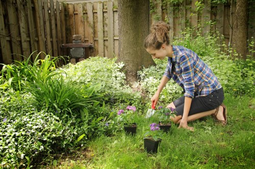 Seasonal lawn maintenance work in a Herne Hill garden