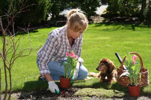 Planning a landscape gardening project with paths and planting zones