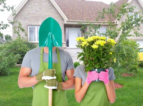 Close-up of grass treatment for Herne Hill lawn care