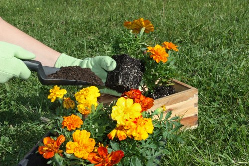 Discussing a gardening issue with clear notes