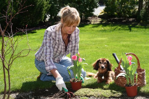 Seasonal planting cared for by Herne Hill gardeners