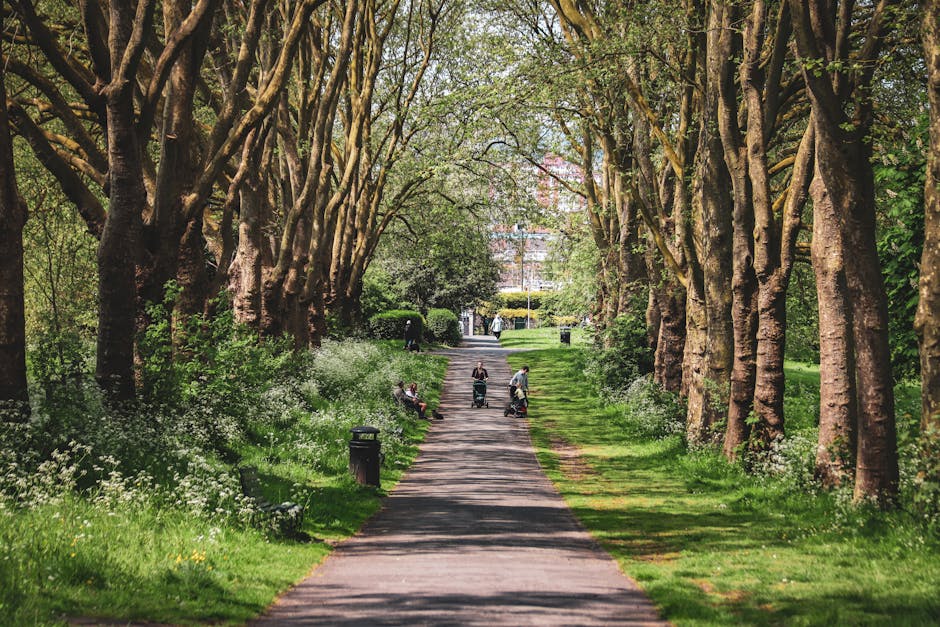 Brockwell Park verge gardening rules and council guidance