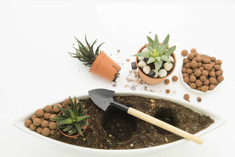 garden design garden care