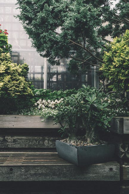 An expansive aerial view showcasing a railway track running through a lush, green landscape near Herne Hill. On one side of the tracks, there are neatly maintained grass verges and dense clusters of t